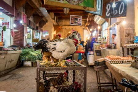  3 Days from Fes Sahara Desert Merzouga