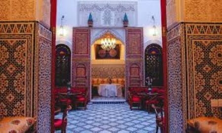 morocco tourism azrou with monkey 